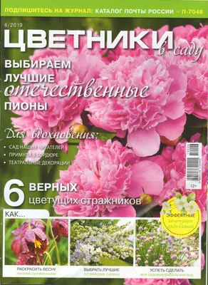 Структура цветника | Цветники | Журнал «Дом и сад»