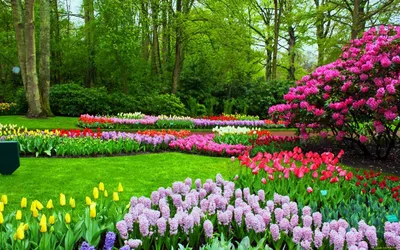 Весенние цветы в саду (71 фото) - 71 фото