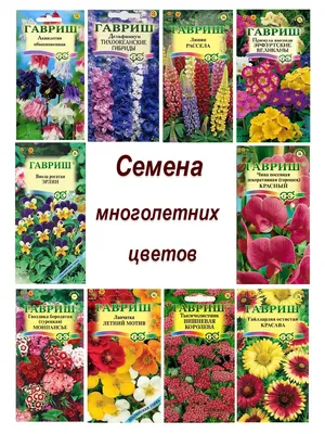 Гелиопсис, Вероника Гавриш Многолетние цветы - купить по выгодным ценам в  интернет-магазине OZON (810273014)