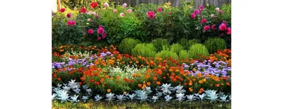 Зелёный сад - летний букет с пионами - Sever Flowers