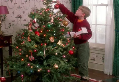 крупный план красивой украшенной рождественской елки красочный дизайн дома  Фото Фон И картинка для бесплатной загрузки - Pngtree