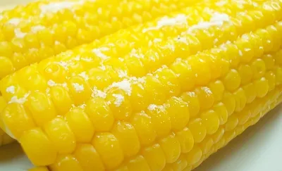 Диетолог рассказал о пользе варёной кукурузы - Новости Калининграда