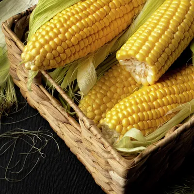 Блюда с початками кукурузы, 154 пошаговых рецепта с фото на сайте «Еда»