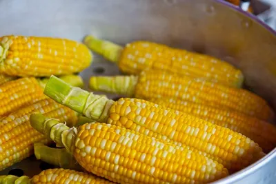 Чем полезна вареная кукуруза в початках | Elementaree