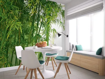 Природа флизелиновые фотообои 3D Дорожка в тропическом бамбуковом лесу  (12632V)+клей купить по цене 200,00 грн