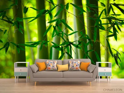 Фотообои флизелиновые Бамбук 254x184 см купить недорого в интернет-магазине  товаров для декора Бауцентр