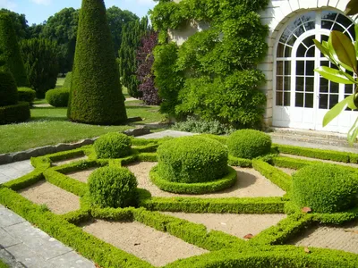 Традиционный французский сад. Орнаментальный сад. Стоковое Изображение -  изображение насчитывающей традиционно, художничества: 27429065