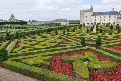 История садов и парков. Французские и английские парки: различия и  особенности