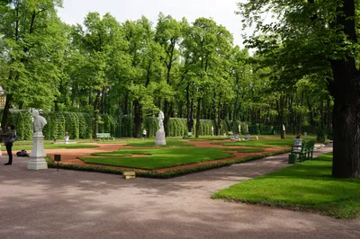 Французский розовый сад.» — создано в Шедевруме