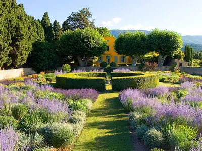 File:Летний сад. Французский партер. 2012 г..JPG - Wikipedia