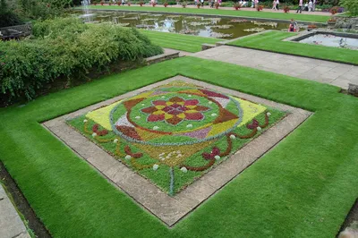В центре Благовещенска появится сад во французском стиле (фото) ▸ Amur.Life