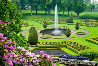 Остаемся_дома: виртуальные путешествия по цветочным выставкам и  ботаническим садам.