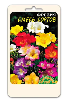 Горшок \"Солнце Сад\" для цветов Фрезия/Космея с поддоном 2л фиолетовый -  купить с доставкой по выгодным ценам в интернет-магазине OZON (825001883)