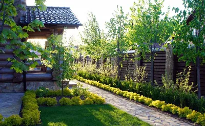 Фруктовый сад и огород на 40 м2 (Часть 1) — 22 ответов | форум Babyblog