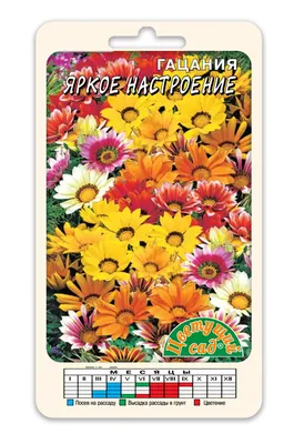 Гацания Бордюрная смесь (семена,цветы) | ⚡ Бесплатная доставка завтра |  AliExpress