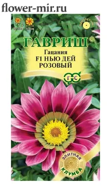 Газания (Гацания) Газу F1 Ред виз Ринг (Gazoo F1 Red with Ring) семена  купить в Украине | Веснодар
