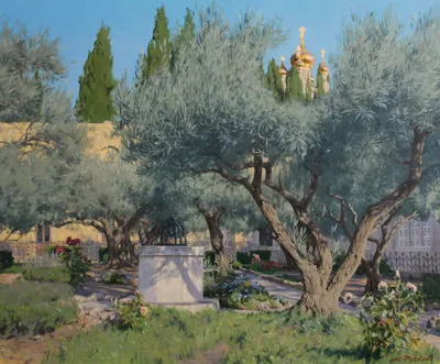 Гефсиманский сад, Иерусалим: описание и фото, отзывы, точный адрес | Planet  of Hotels