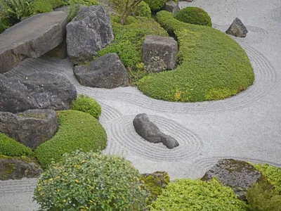Сад камней, дендрологический парк в Гончарке (Stone Garden, dendrological  park in Goncharka) | Mapio.net