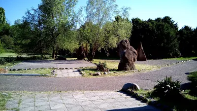 Сад камней (Много фото!) - treepics.ru