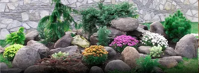 Альпийская горка из камней и цветов - 74 фото