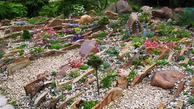 Каменистые сады, рокарии и альпийские горки, цены от «КиевСад»
