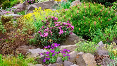 Садовая горка из камней для цветов - 75 фото