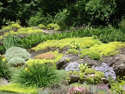 Альпийская горка в английском саду, …» — создано в Шедевруме