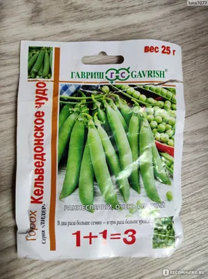 Купить семена Горох АМБРОЗИЯ овощной (10 гр) в магазине ГринПрофи Тольятти