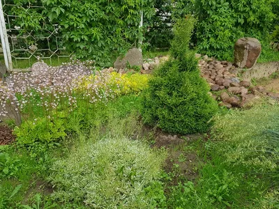 Гравийный сад фото фотографии