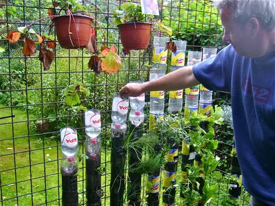 How to make a fence for rows of bottles of the Border for flower beds  improvised - YouTube