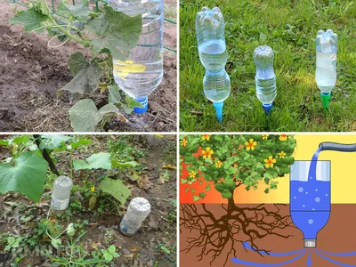 Грядки из пластиковых бутылок своими руками. 10 фото