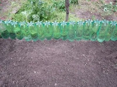 Грядки из пластиковых бутылок (66 фото) » НА ДАЧЕ ФОТО