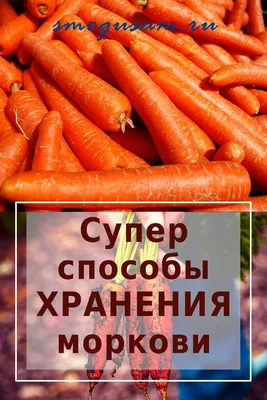 МОРКОВЬ словно ТОЛЬКО с ГРЯДКИ! Сохрани морковь свежей до следующего урожая  — 7 СУПЕР СПОСОБОВ! | Идеи для блюд, Морковь, Зимние рецепты