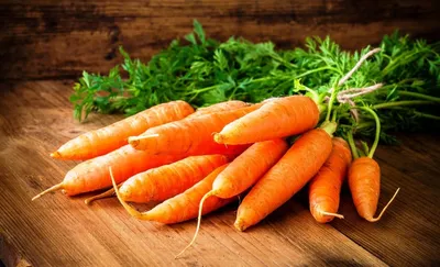 Возделывание моркови. Секреты технологии | Гавриш