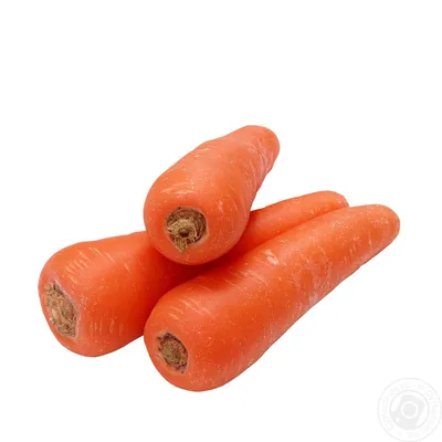 Посадка моркови весной – подготовка семян, сроки и способы посева | Овощные  грядки, Выращивание моркови, Морковь