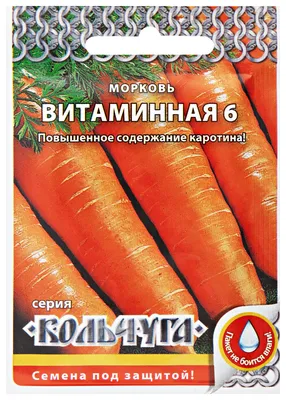 Морковь посажена двумя способами: вдоль и поперек. Сравниваю как лучше |  Огород У-Дачи | Дзен