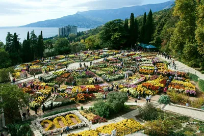 Nikita Botanical Garden. Walk on the pearl of the Crimea. Yalta, Nikita -  YouTube