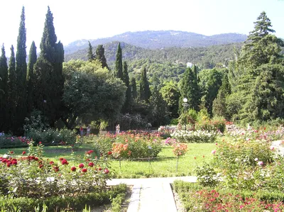 Никитский ботанический сад в Крыму (Ялта) - официальный сайт, цена входа  2019-2020, режим работы, где находится (адрес), фото, что можно увидеть?