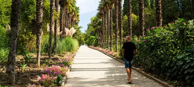 Никитский ботанический сад. «YALTA-TOUR» – отдых для всей семьи в Ялте