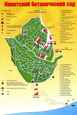 Никитский ботанический сад - путеводитель по Ялте, фотографии, отзывы,  расположение на карте