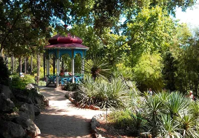 Никитский ботанический сад 2024 цена, описание, фото, координаты на карте