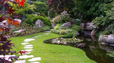 Какие растения выбрать для создания японского сада