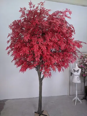 🌳 Искусственное дерево: Японский клён, 320см купить » Искусственные  растения с доставкой по всей России