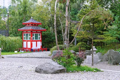 Реконструкцию японского сада камней ВГУЭС одобрил МИД Японии - KP.RU