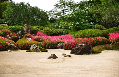 Японский сад камней на рассвете» — создано в Шедевруме