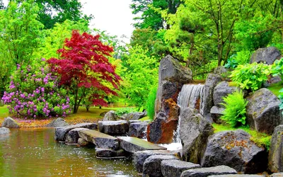 Сад камней Рёандзи в Киото - место для медитаций монахов храма