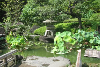 Японский сад камней (Киев, Киевская область) – Greentrava
