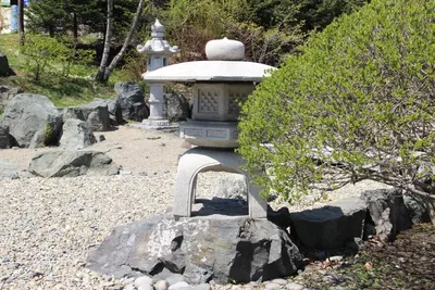 МИД Японии поддержит проект реконструкции японского сада камней ВГУЭС .  Владивостокский государственный университет ВВГУ