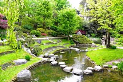 Японский сад камней» — создано в Шедевруме