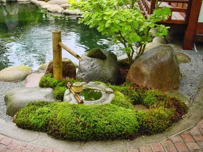Японский сад своими руками фото фотографии